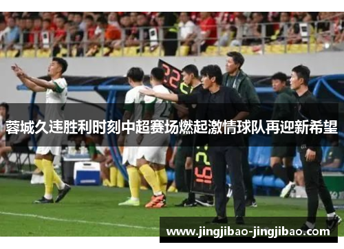 蓉城久违胜利时刻中超赛场燃起激情球队再迎新希望 蓉城久违胜利时刻中超赛场燃起激情球队再迎新希望